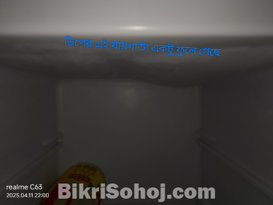 ফ্রিজ সিংগার